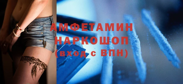 молекула духа Алексин