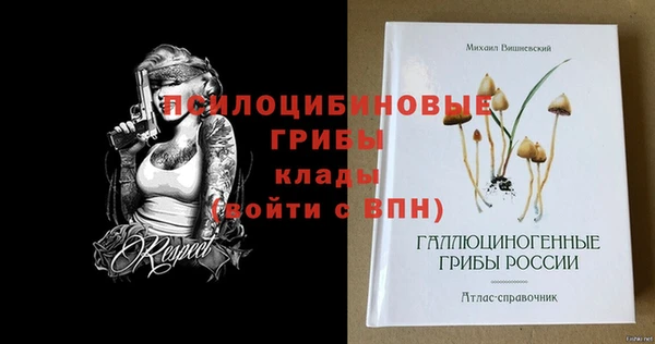 mix Нязепетровск