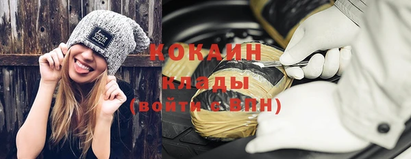 дмт Няндома